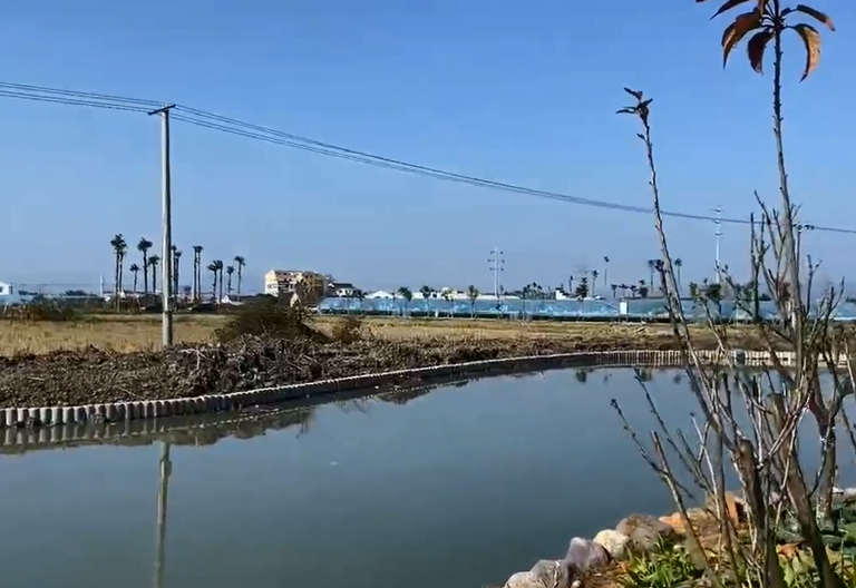 視頻案例